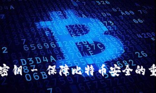 比特派密钥 - 保障比特币安全的重要步骤