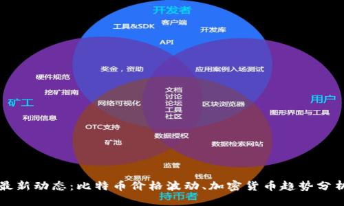 虚拟币市场最新动态：比特币价格波动、加密货币趋势分析及投资策略