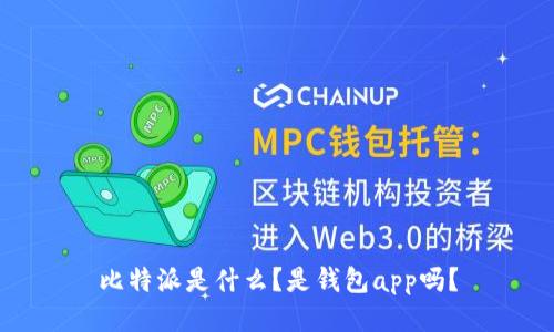 比特派是什么？是钱包app吗？