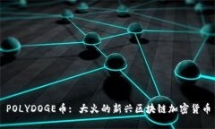 POLYDOGE币: 大火的新兴区块链加密货币