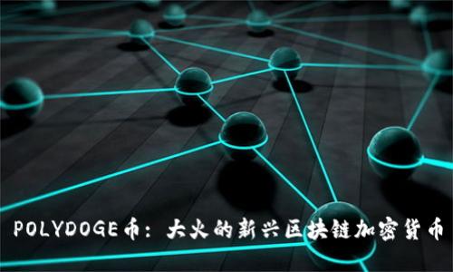 POLYDOGE币: 大火的新兴区块链加密货币