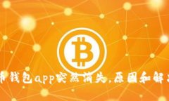 虚拟币钱包app突然消失，原因和解决方法