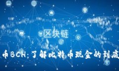 数字货币BCH：了解比特币现金的到底是什么