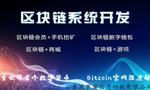 探索世界首个数字货币——Bitcoin官网深度解析