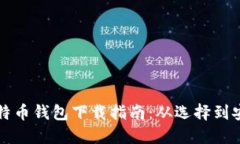 比特币钱包下载指南：从选择到安装