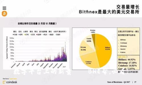 数字平台上的新贵——BHE帮，必看！