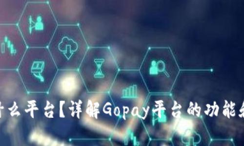 Gopay是什么平台？详解Gopay平台的功能和使用方法