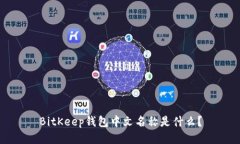 BitKeep钱包中文名称是什么？