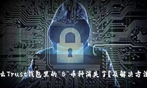 为什么Trust钱包里的“B”币种消失了？及解决方法详解