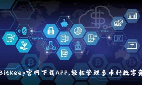 从BitKeep官网下载APP，轻松管理多币种数字资产