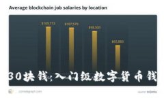 数字钱包30块钱：入门级数字货币钱包的选择