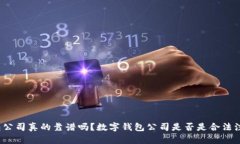 数字钱包公司真的靠谱吗？数字钱包公司是否是