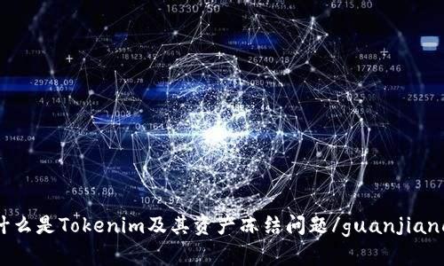 什么是Tokenim及其资产冻结问题/guanjianci