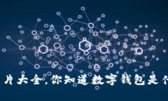 数字钱包图片大全，你知道数字钱包是什么样子