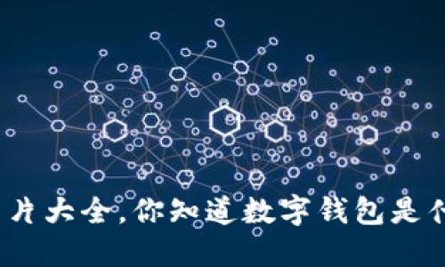 数字钱包图片大全，你知道数字钱包是什么样子吗？