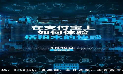 BitDisk怎么玩, BitDisk, 云存储, 文件共享, 文件同步/guanjianci