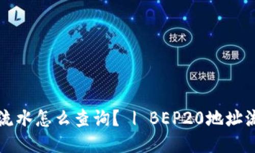 BEP20地址流水怎么查询？ | BEP20地址流水查询指南