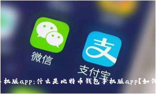 比特币钱包手机版app：什么是比特币钱包手机版app？如何选择和使用？