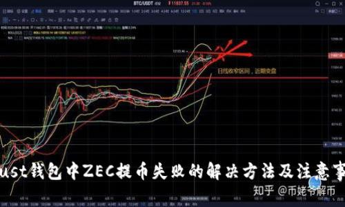 Trust钱包中ZEC提币失败的解决方法及注意事项