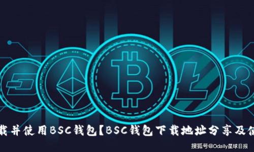 如何下载并使用BSC钱包？BSC钱包下载地址分享及使用教程