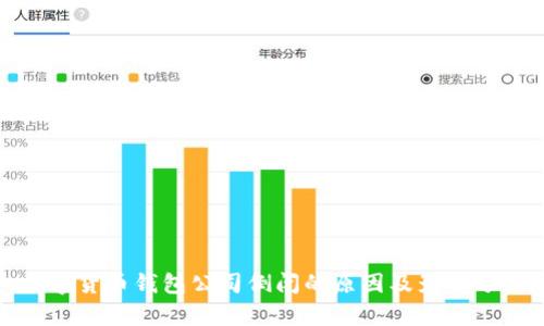 数字货币钱包公司倒闭的原因及影响分析