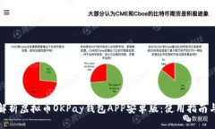 全面解析虚拟币OKPay钱包APP安卓版：使用指南与优