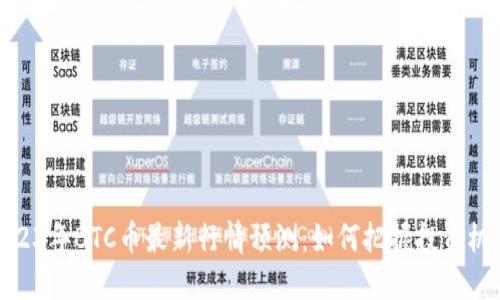 2023年BTC币最新行情预测：如何把握投资机会