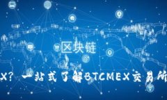 什么是BTCMEX? 一站式了解BTCMEX交易所的优势与风险