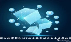 国内数字钱包APP的全面分析与未来发展趋势