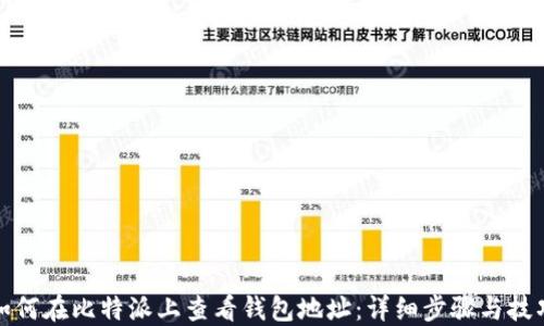 
如何在比特派上查看钱包地址：详细步骤与技巧