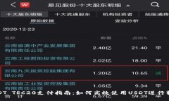 USDT TRC20支付指南：如何高效使用USDT进行转账