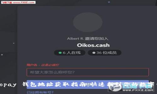 : Gopay 钱包地址获取指南：快速找到你的数字钱包