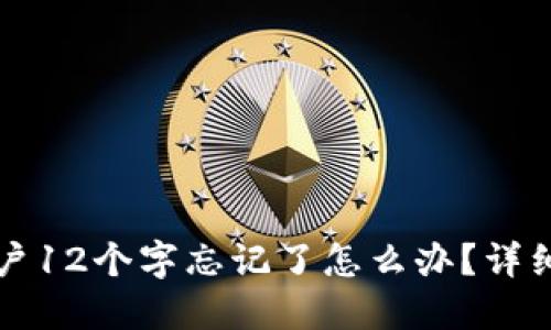 比特派账户12个字忘记了怎么办？详细解决方案