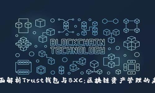 全面解析Trust钱包与BXC：区块链资产管理的未来