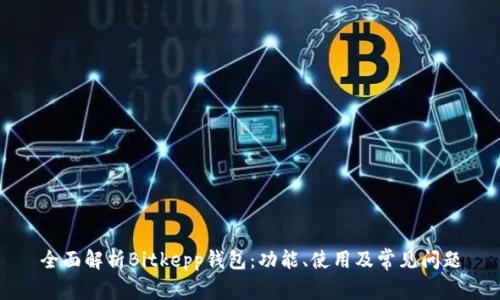 全面解析Bitkepp钱包：功能、使用及常见问题