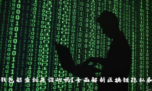 区块链钱包能查到是谁的吗？全面解析区块链隐私和透明性