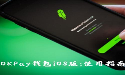 全方位解析OKPay钱包iOS版：使用指南与优势探讨