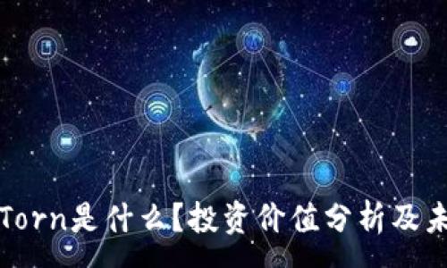 :
虚拟币Torn是什么？投资价值分析及未来走势