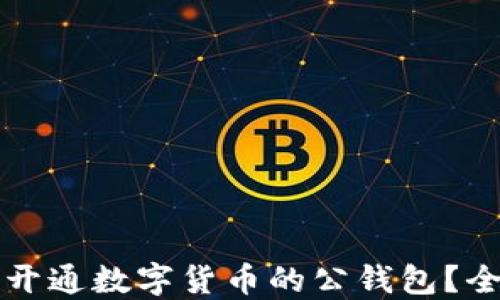 
如何顺利开通数字货币的公钱包？全方位指南