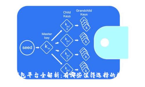 数字钱包平台全解析：有哪些值得选择的数字钱包？