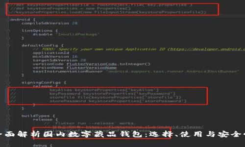 全面解析国内数字藏品钱包：选择、使用与安全性