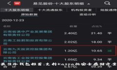 最佳冷钱包推荐：支持Kaspa的安全存储方案