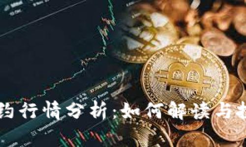 主力合约行情分析:如何解读与投资策略