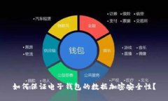 如何保证电子钱包的数据加密安全性？