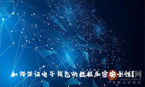 如何保证电子钱包的数据加密安全性？