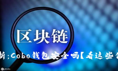 深度解析：Cobo钱包安全吗？看这些你就懂了