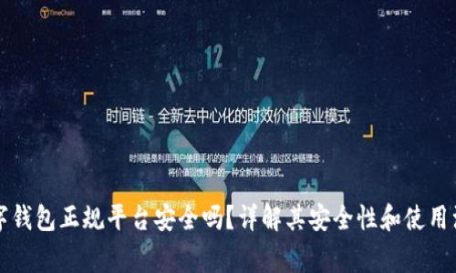 下载数字钱包正规平台安全吗？详解其安全性和使用注意事项