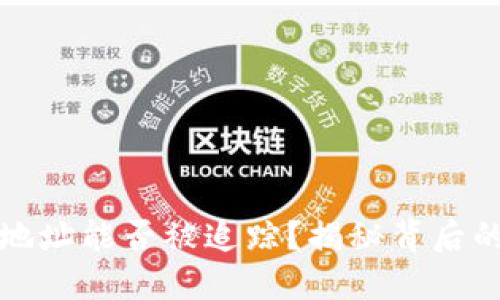 区块链钱包地址能否被追踪？揭秘背后的隐私与安全