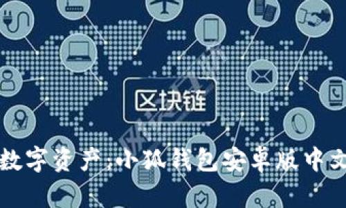 轻松管理你的数字资产：小狐钱包安卓版中文版本全面解析