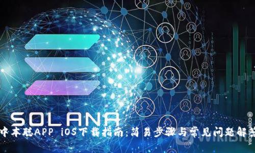中本聪APP iOS下载指南：简易步骤与常见问题解答